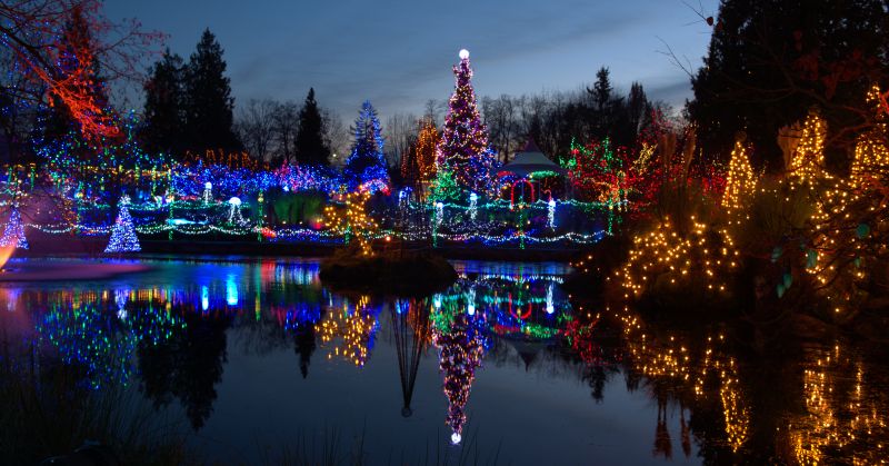 Holiday Lights Hanging