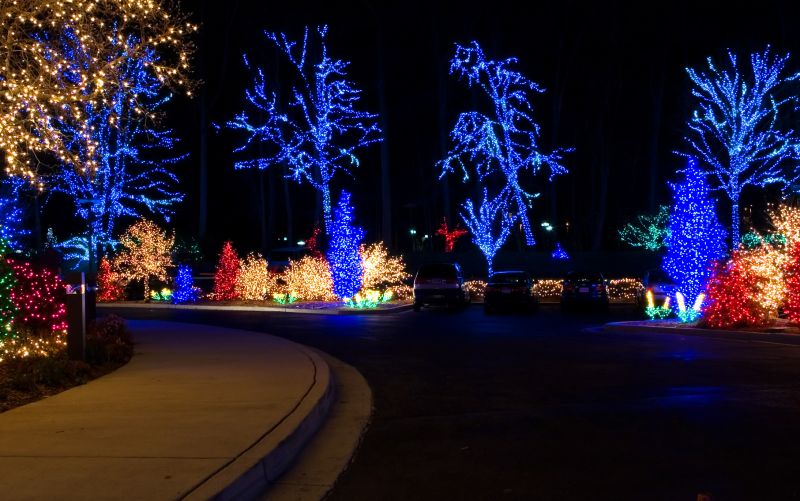 Festive Lighting Display