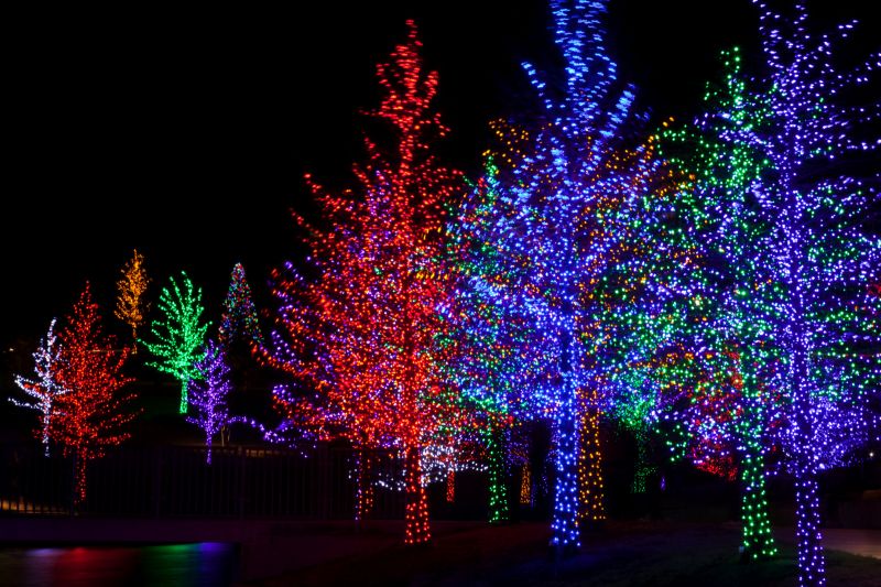 Outdoor Christmas Lights Display