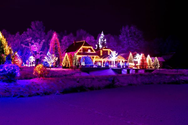 Christmas Lights Hanging